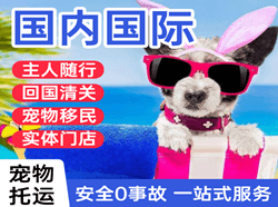 咸阳机场空运国际宠物托运 【国